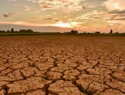 Kekeringan Parah Kuras Waduk Tekirdag, Ribuan Warga Turki Krisis Air Bersih