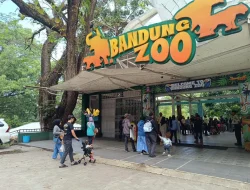 Serikat Pekerja Desak Bandung Zoo Segera Dibuka
