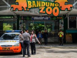 Polda Jabar Copot Police Line di Bandung Zoo