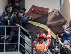 Momen Evakuasi Macan Tutul yang Nyasar ke Hotel Bandung