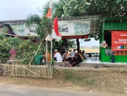 Warung Sederhana Tengah Sawah Jadi Magnet Wisatawan