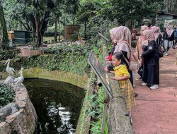 Bandung Zoo Libur Lebaran 2026 Belum Buka, Farhan Minta Maaf