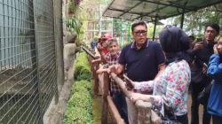 DPRD Bandung Desak Evaluasi Pengelolaan Bandung Zoo