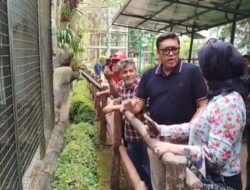 DPRD Bandung Desak Evaluasi Pengelolaan Bandung Zoo